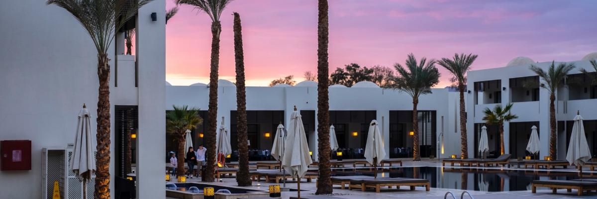 accom-palms.jpg