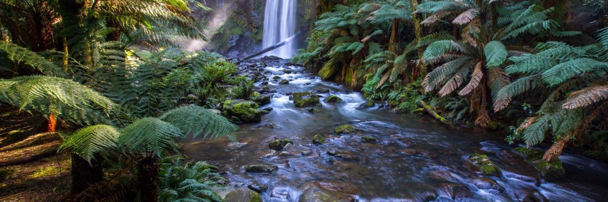nature-stream.jpg