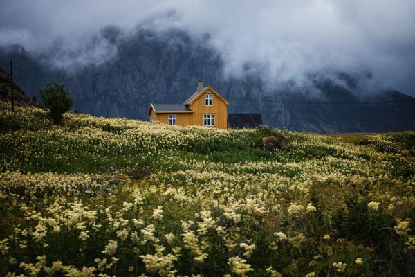 accom-hills.jpg