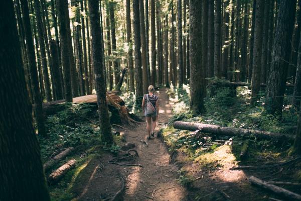 nature-hiking.jpg
