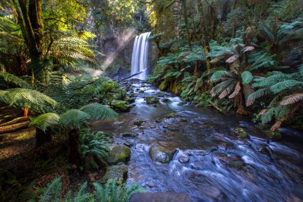 nature-stream.jpg