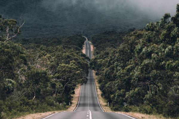 outdoors-road.jpg