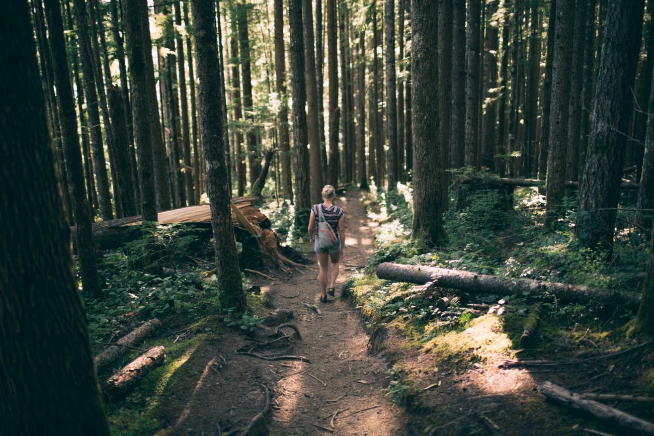 nature-hiking.jpg