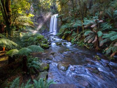 nature-stream.jpg